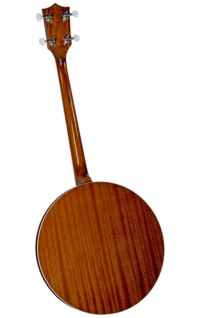 Rover RB-25T Tenor Banjo