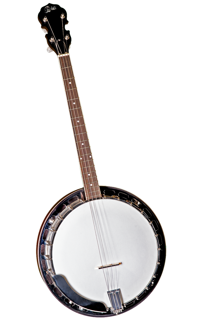 Rover RB-45T Tenor Banjo