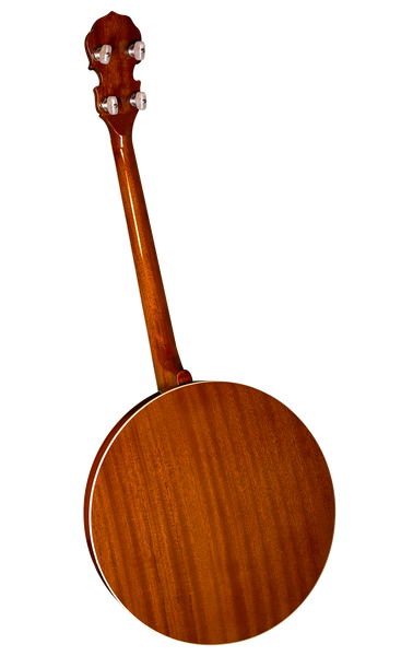 Rover RB-45T Tenor Banjo