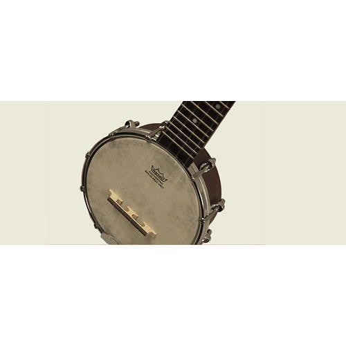 Recording King Banjolele