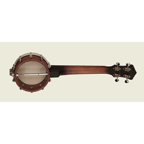 Recording King Banjolele