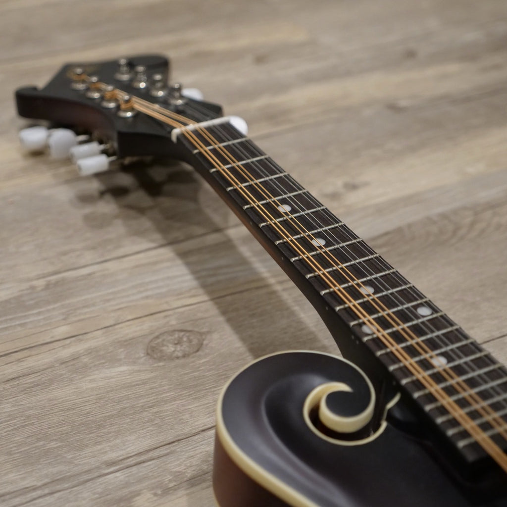 The Loar LM-310 Honey Creek Mandolin