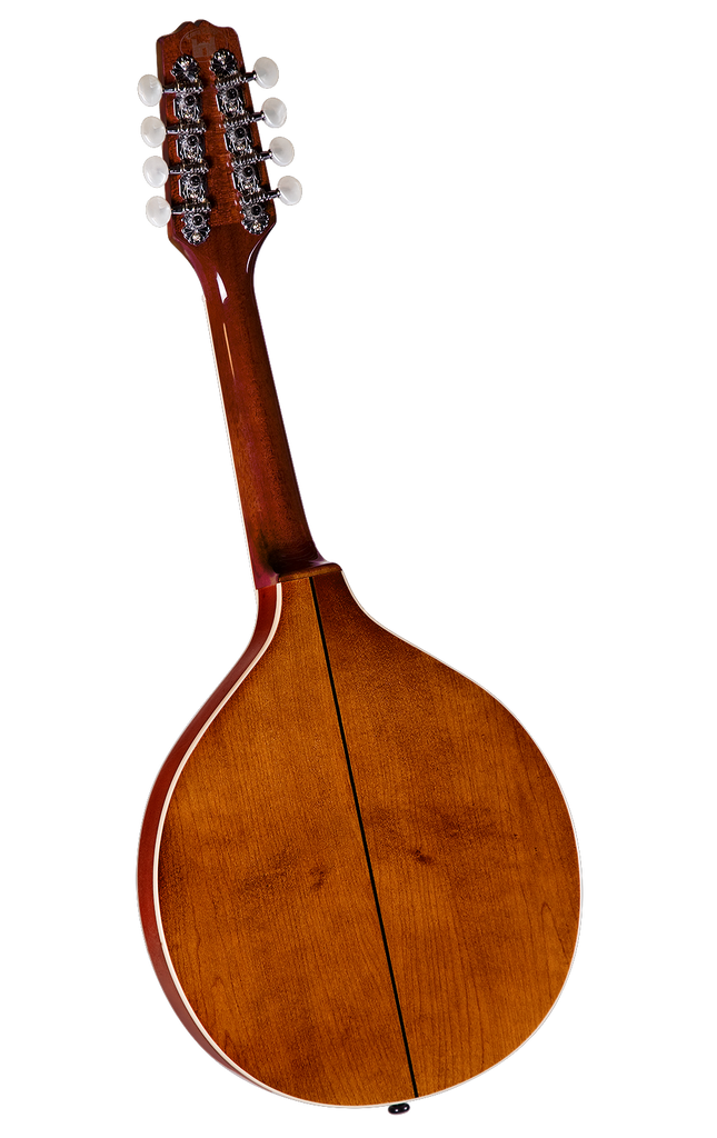 Trinity College Mandolin Flat Top Black