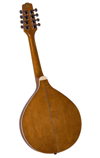 Trinity College Mandola Black