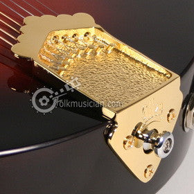 Allen Mandolin Tailpiece Style 1 Gold