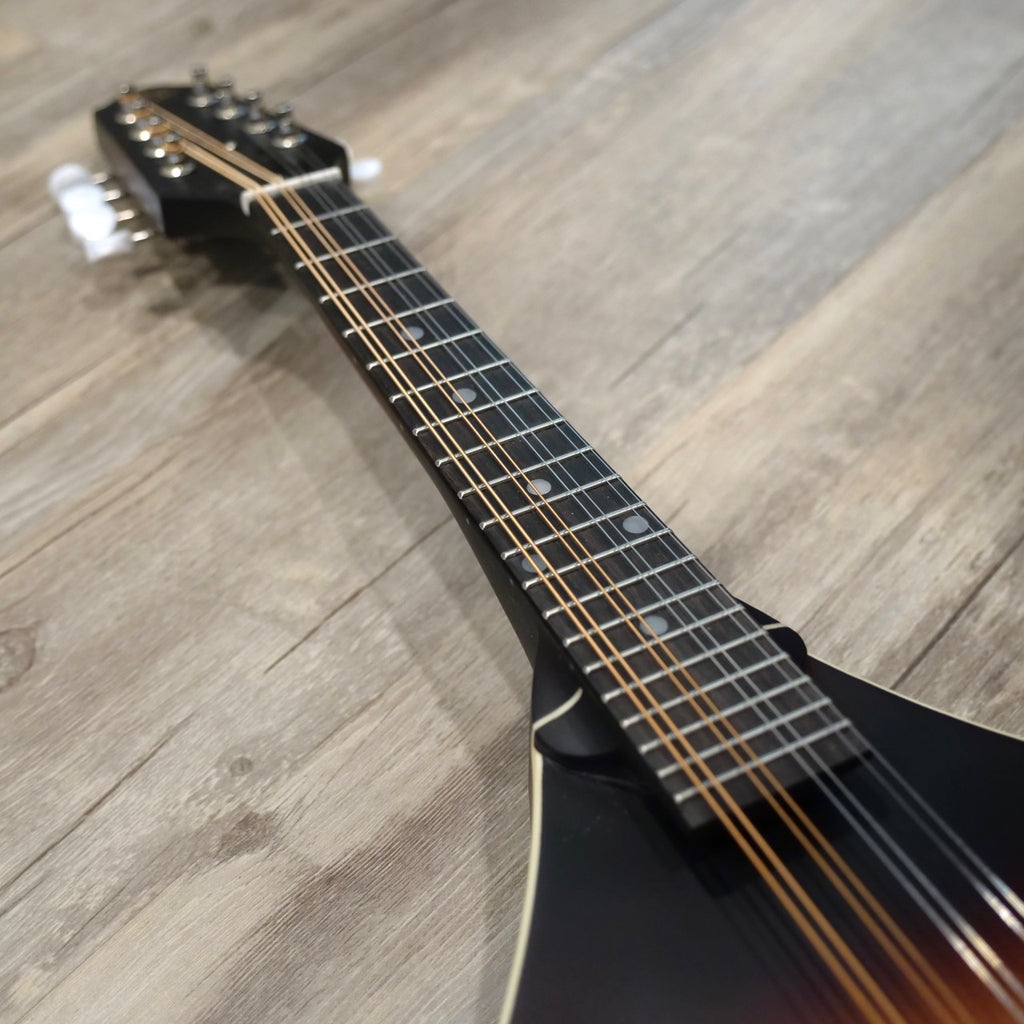 The Loar Electric LM-110E Mandolin with Pickup