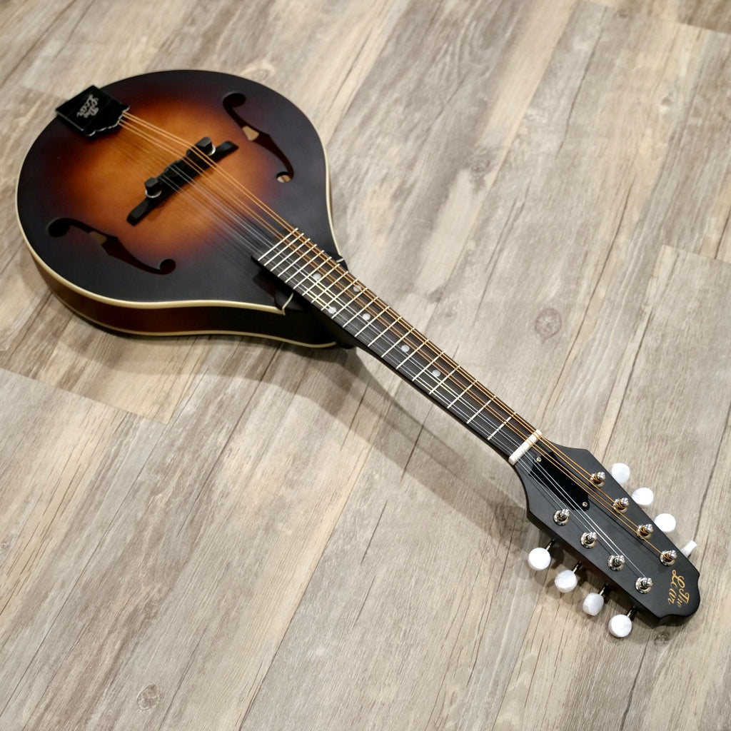 The Loar Electric LM-110E Mandolin with Pickup