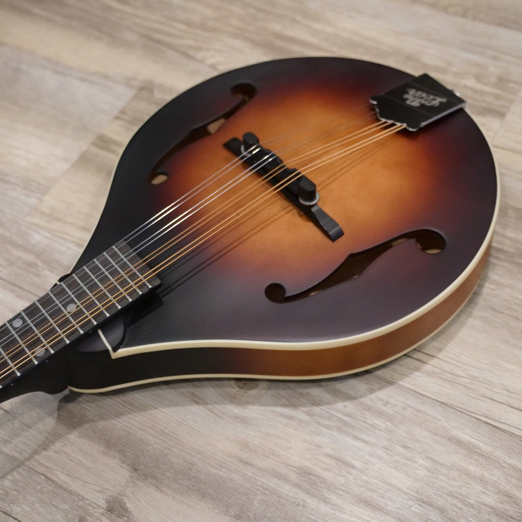 The Loar Electric LM-110E Mandolin with Pickup