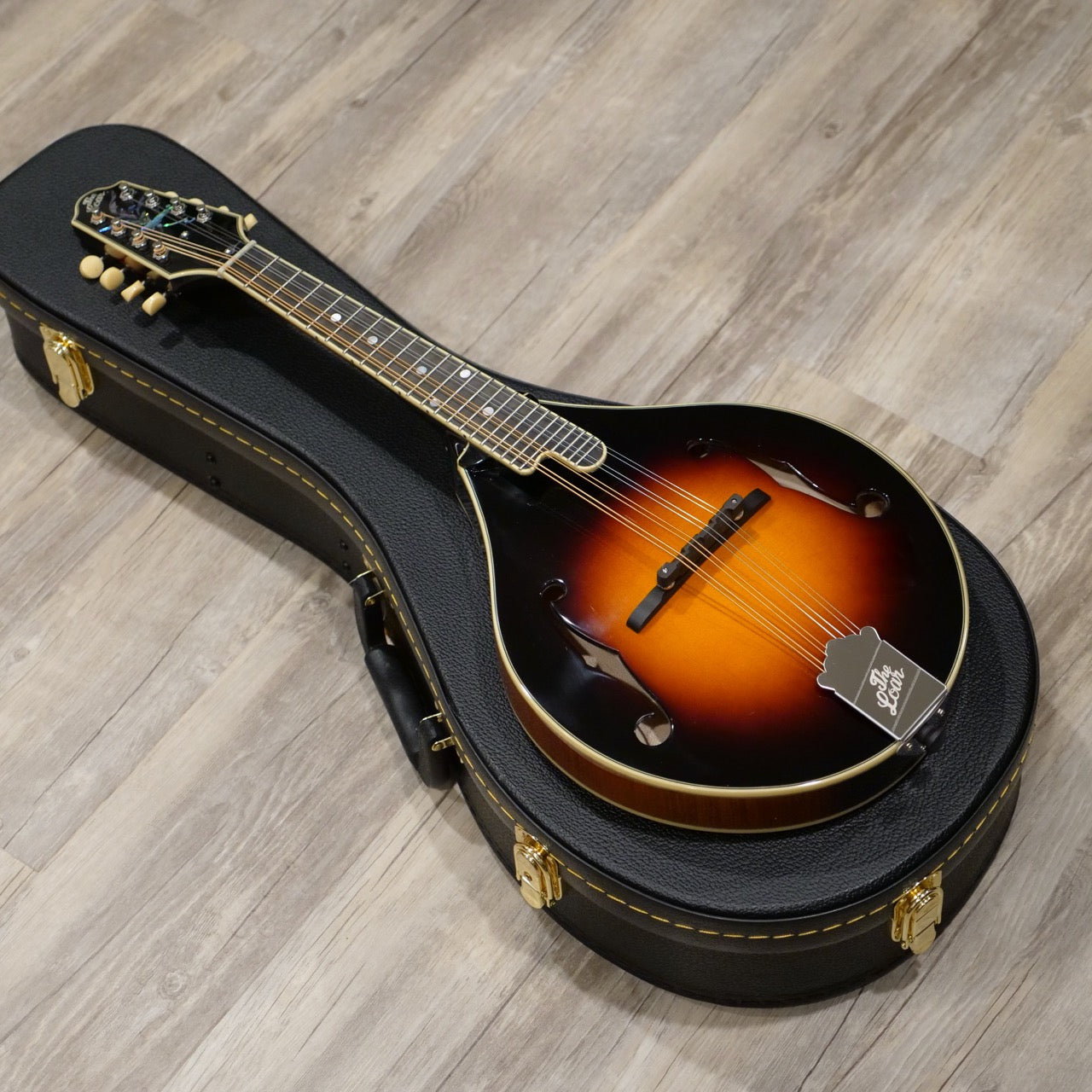 The Loar LM-400 Mandolin - Folkmusician
