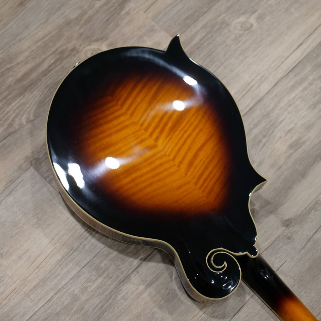 The Loar LM 520E Electric Mandolin