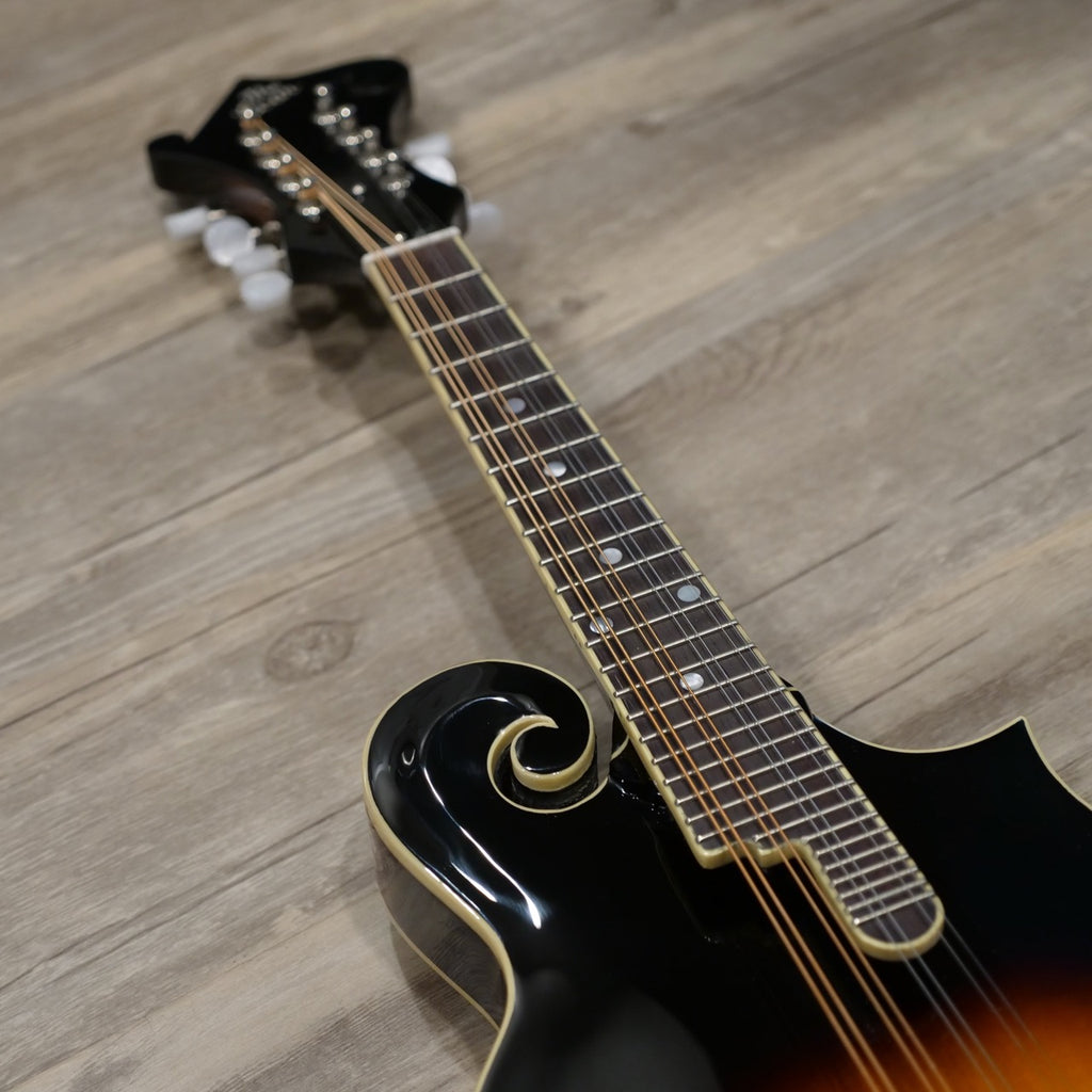 The Loar LM 520E Electric Mandolin