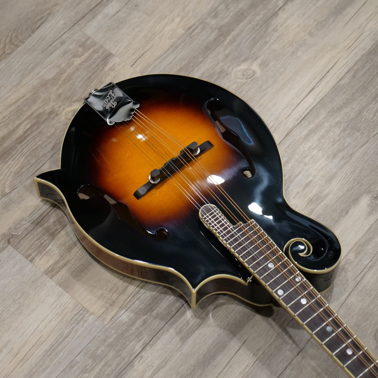 The Loar LM 520E Electric Mandolin - Folkmusician