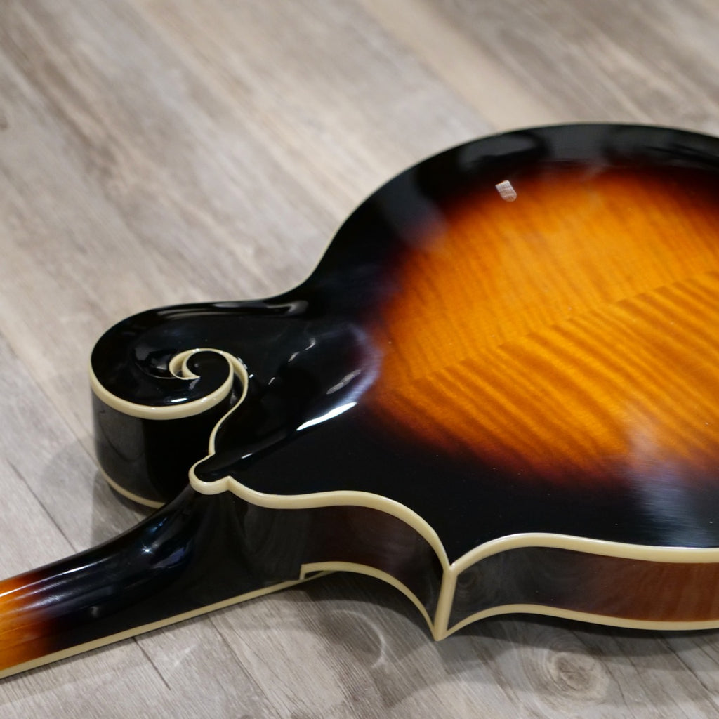 The Loar LM 520E Electric Mandolin