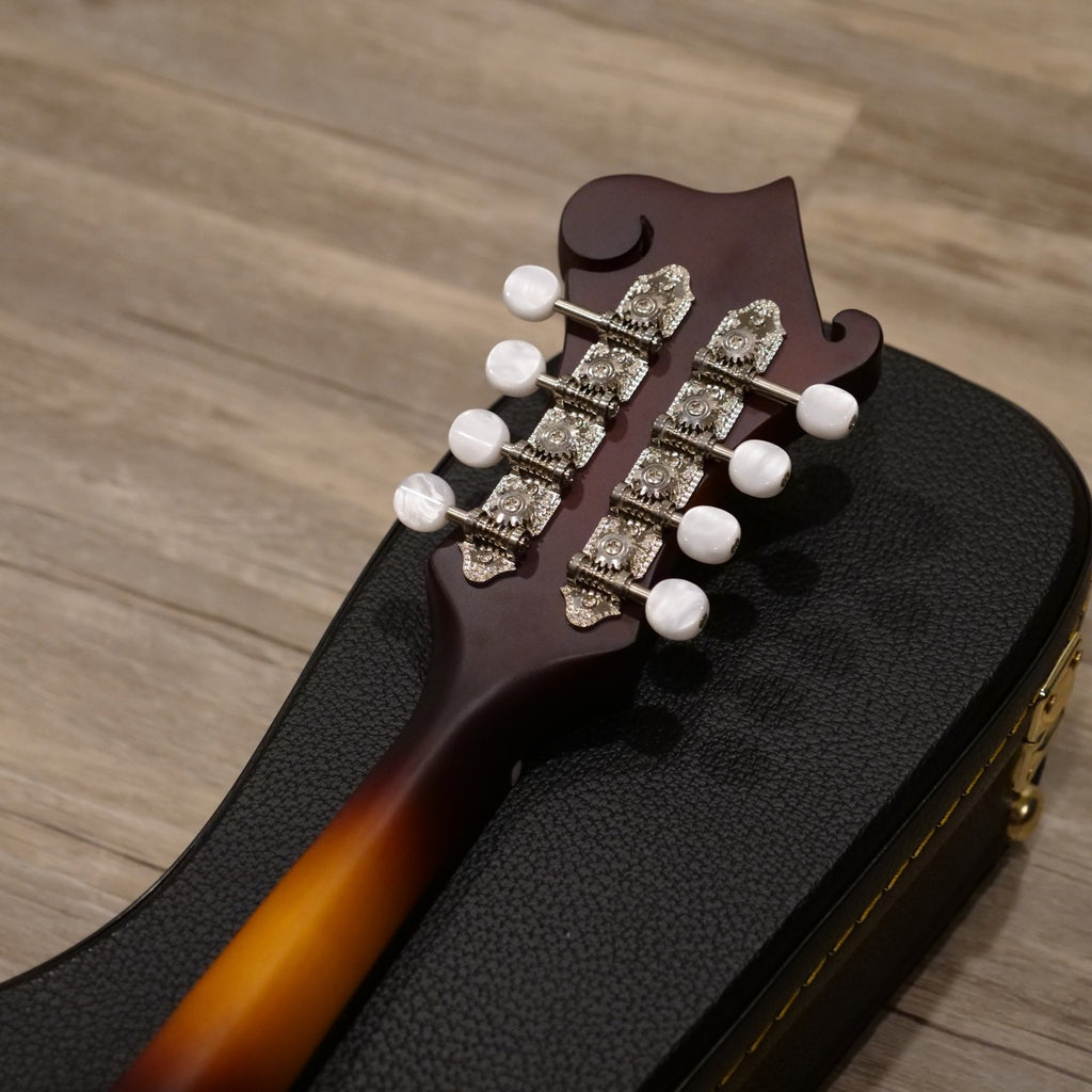 The Loar LM-590 Mandolin