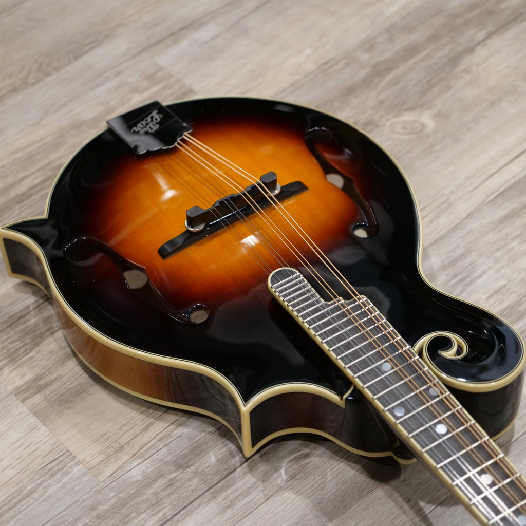 The Loar LM-600E-VS Electric Mandolin