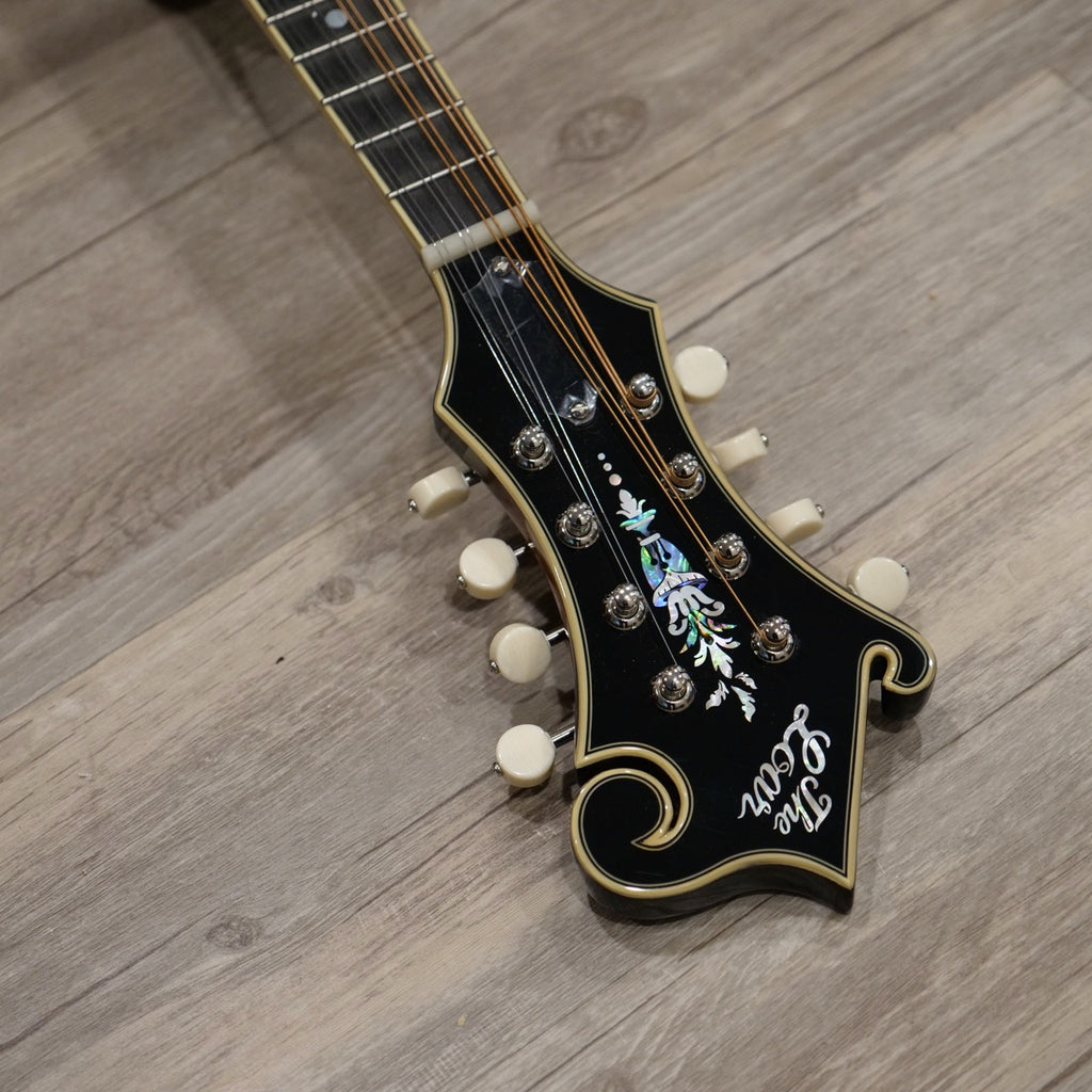 The Loar LM-600E-VS Electric Mandolin