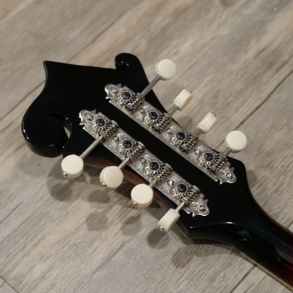 The Loar LM-600E-VS Electric Mandolin