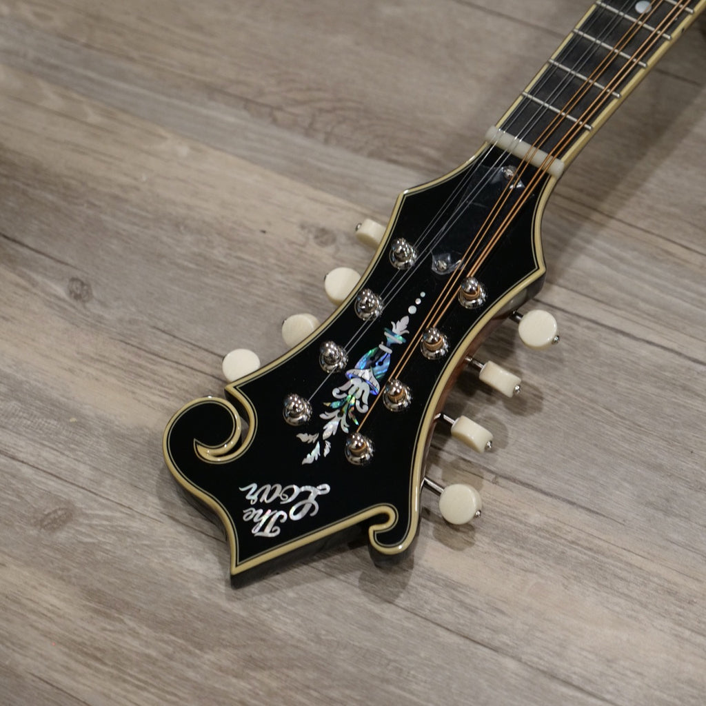 The Loar LM-600E-VS Electric Mandolin