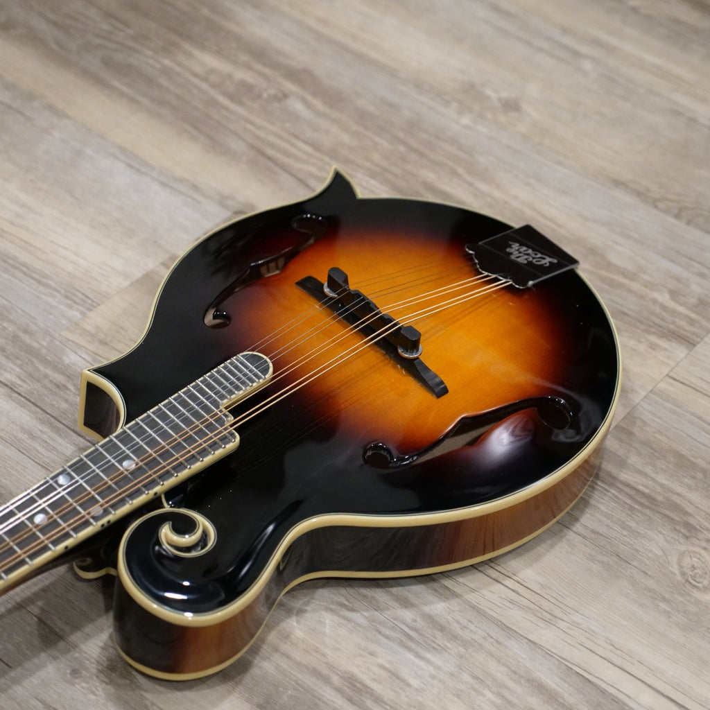 The Loar LM-600E-VS Electric Mandolin