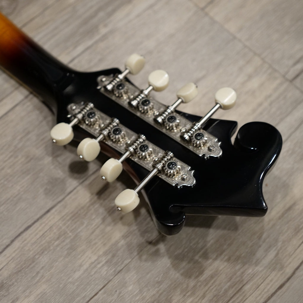 The Loar LM-600E-VS Electric Mandolin