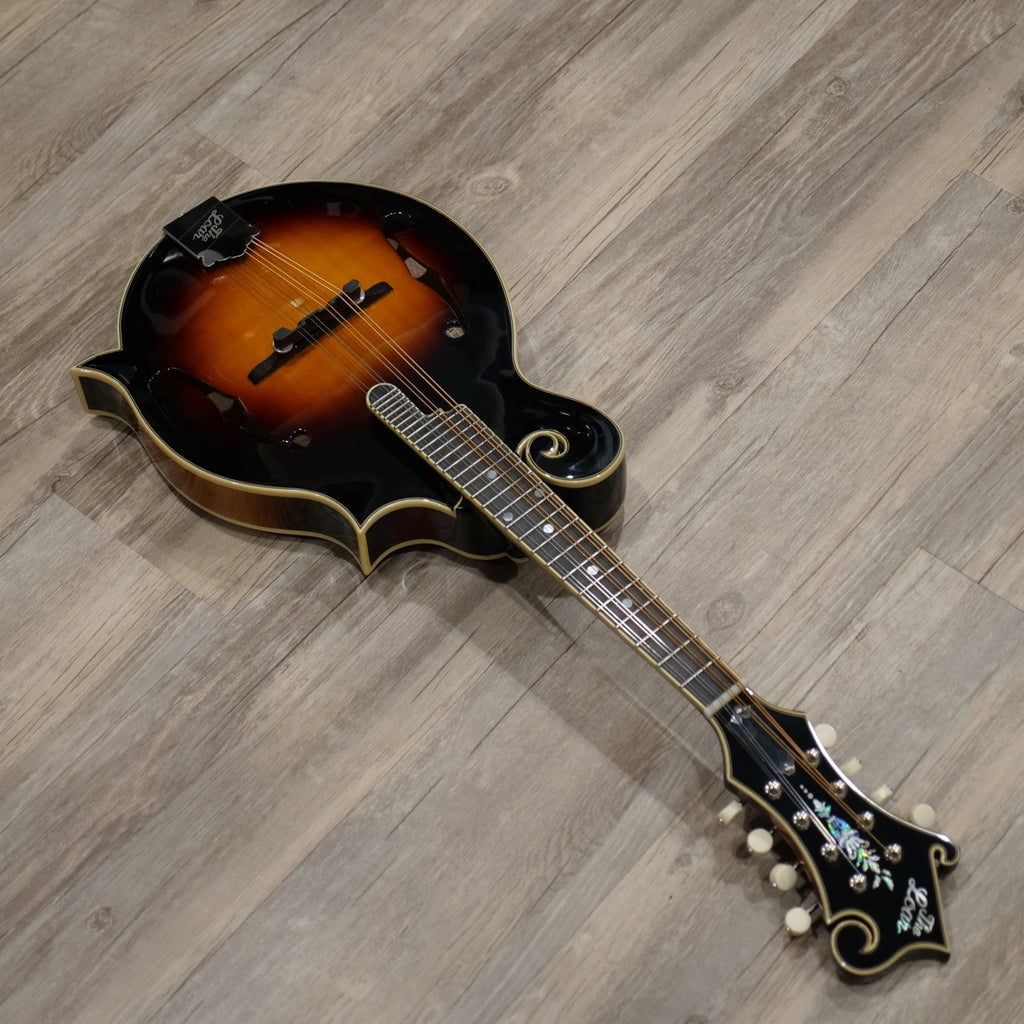 The Loar LM-600E-VS Electric Mandolin