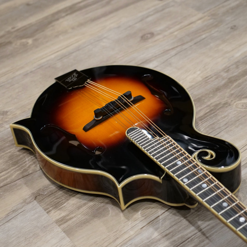 The Loar LM-700E-VS Electric Mandolin