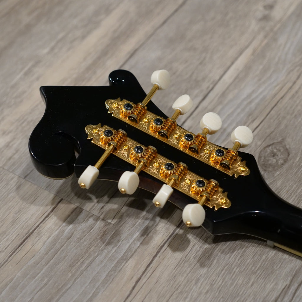 The Loar LM-700E-VS Electric Mandolin