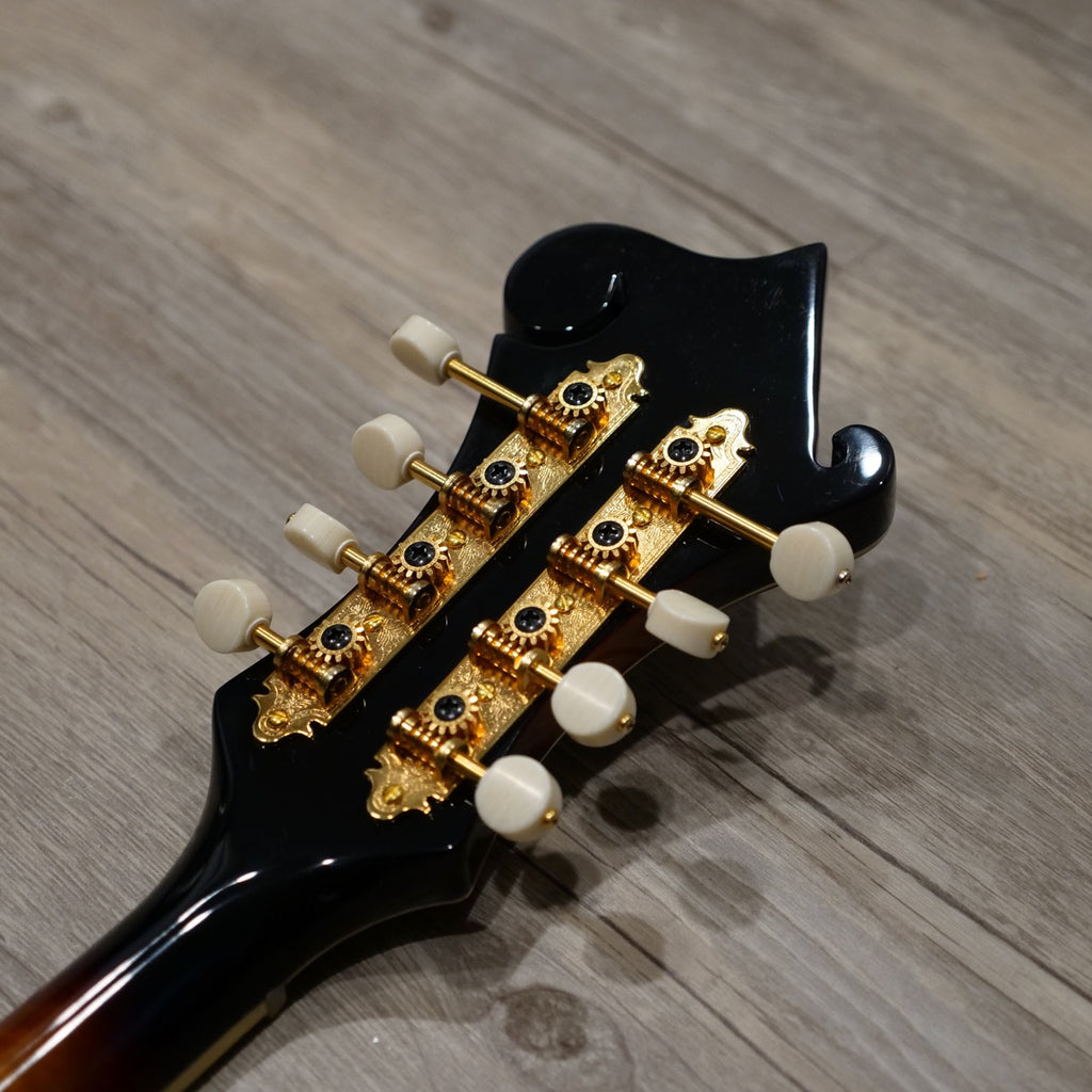 The Loar LM-700E-VS Electric Mandolin