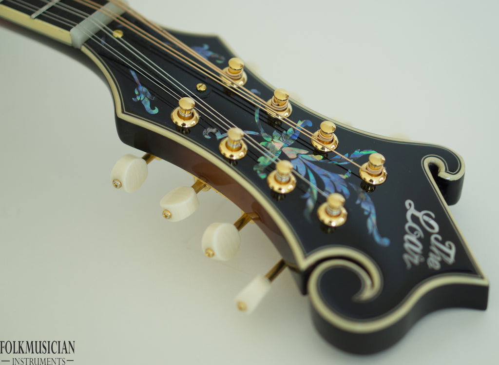 The Loar Mandolin LM-700 - BLEM