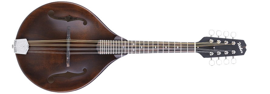 Weber 2025 octave mandolin