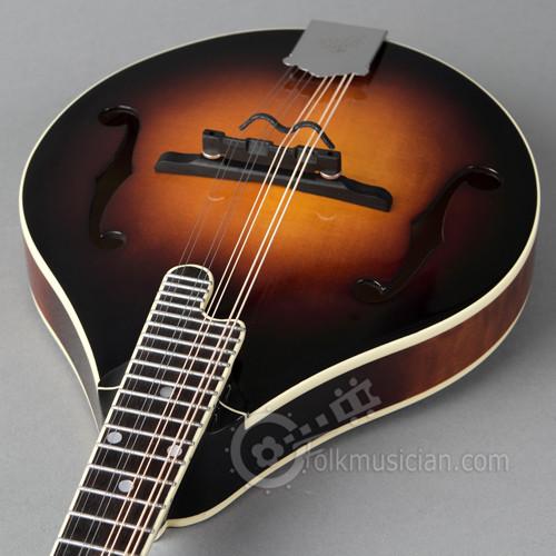 The Loar LM-220 Mandolin - Blem