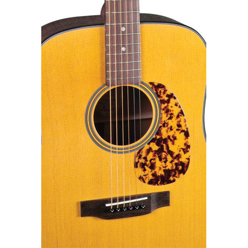 Blueridge Guitar BR-140