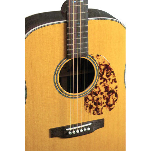 Blueridge BR-160 Acoustic Guitar