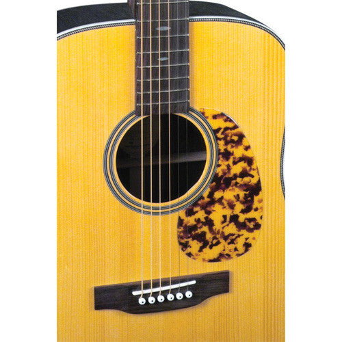 Adirondack Blueridge Guitar BR 160A
