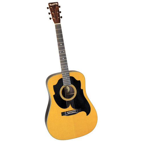 Larry Spark Blueridge Guitar BR-3060