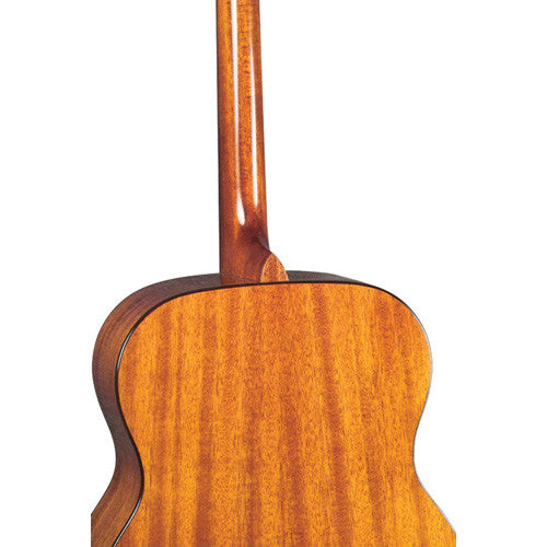 Blueridge br40t tenor guitar hotsell
