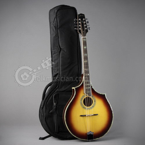 Case for Johnson MA-550 Octave Mandolin