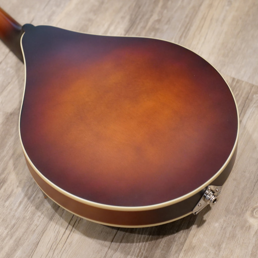 The Loar Electric LM-110E Mandolin with Pickup