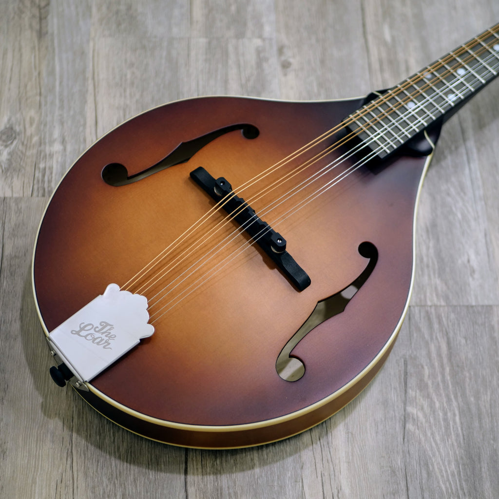 The Loar LM-110 Honey Creek Mandolin