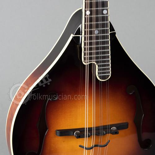 The Loar LM-220 Mandolin - Blem