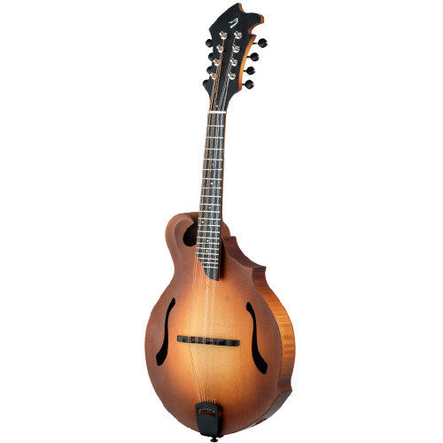 Breedlove mandolin clearance