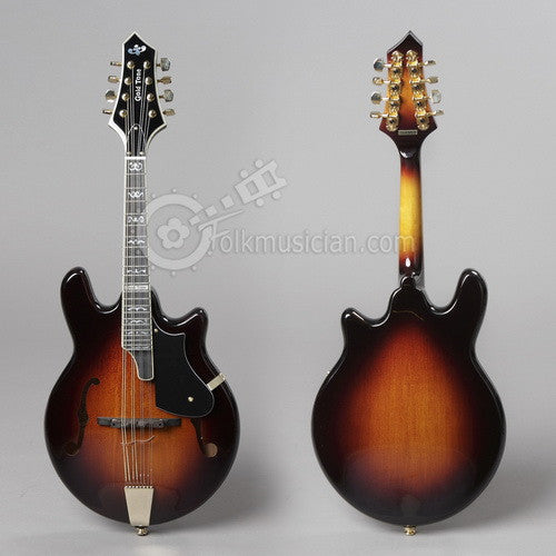 Gold Tone Rigel Mandolin Electric