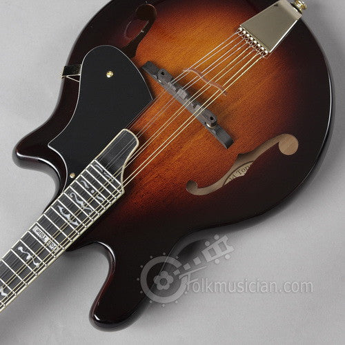 Gold Tone Rigel Mandolin Electric