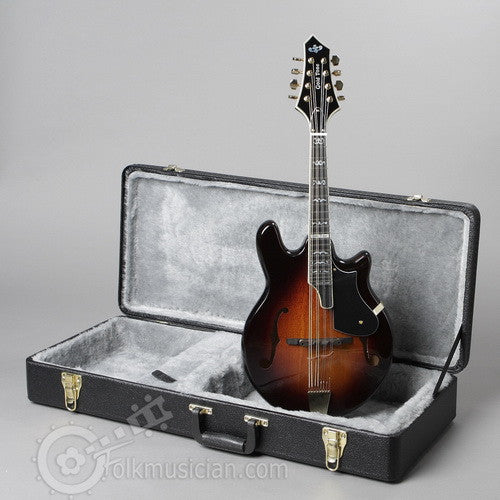 Gold Tone Rigel Mandolin Electric