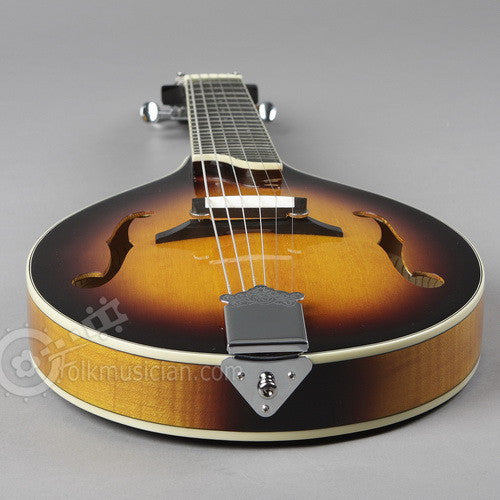 Mando guitar shop