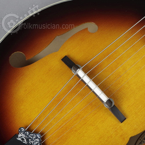 Gold Tone 6 String Mandolin Guitar