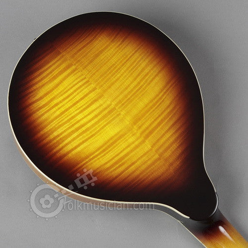 Gold Tone 6 String Mandolin Guitar