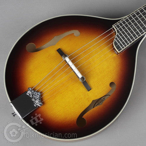 Gold Tone 6 String Mandolin Guitar - Folkmusician