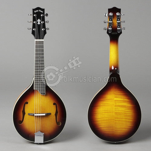 Gold Tone 6 String Mandolin Guitar