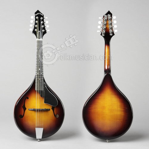 Gold Tone Rigel A Style Mandolin Electric Folkmusician